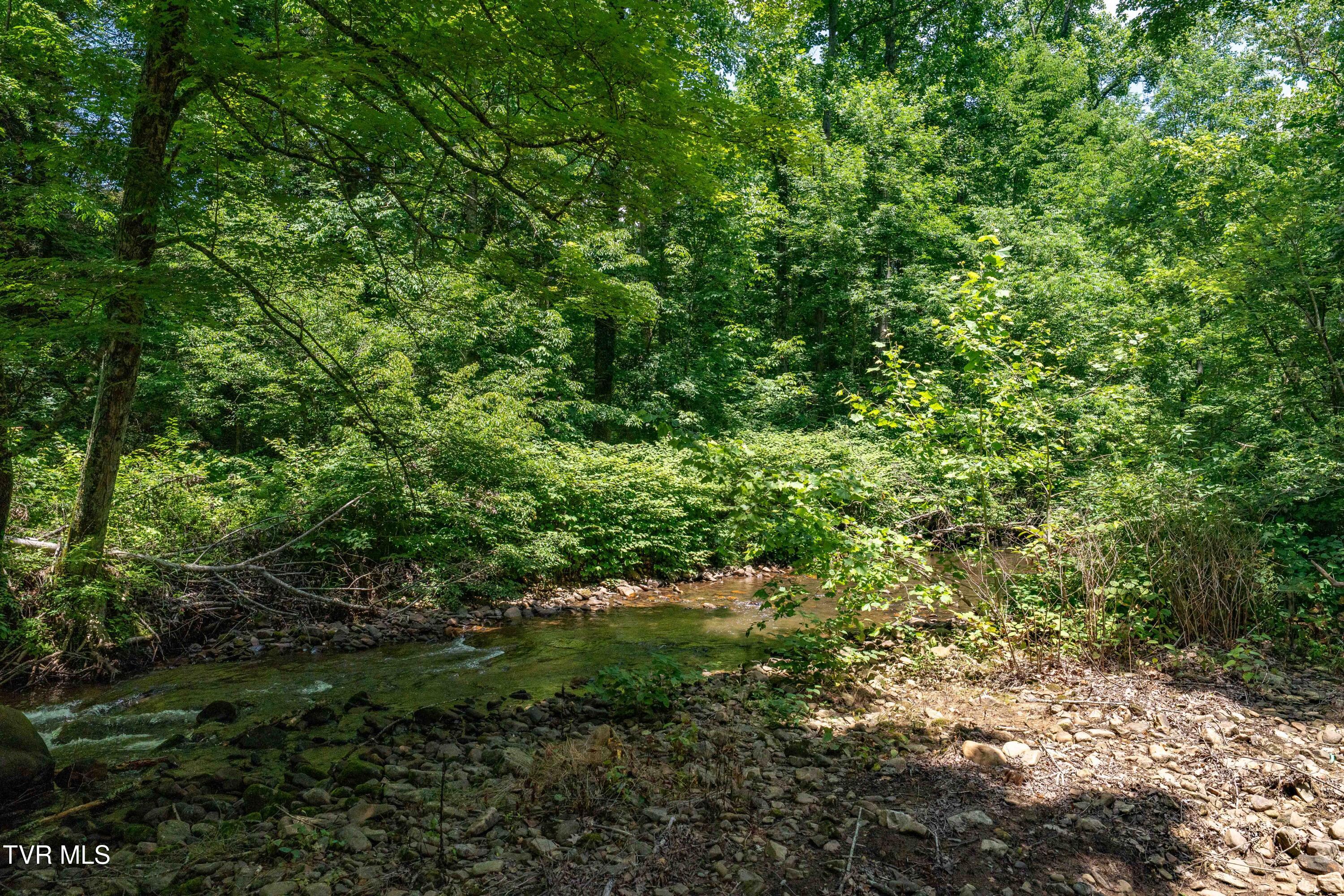 135 Grindstaff Hollow Road Elizabethton, TN 37643 - Photo 54 of 116 135 Grindstaff Hollow (42 of 83)