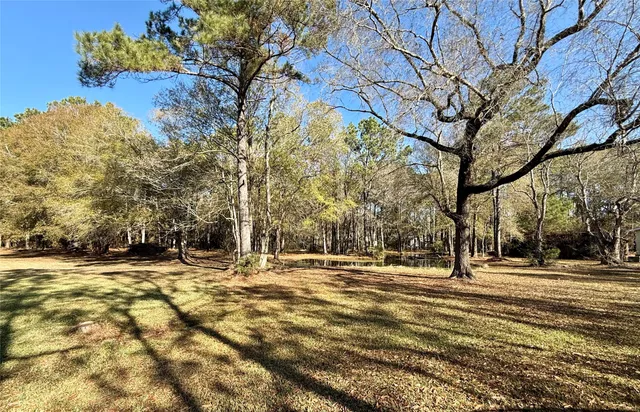 a backyard of a house with trees and houses