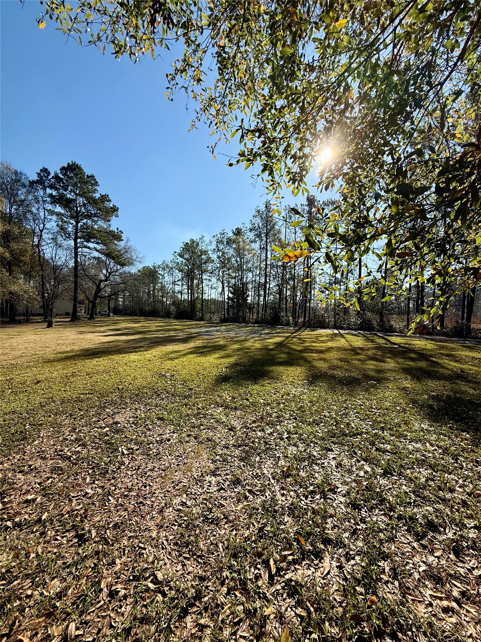 6165 North Linscomb Road Vidor, TX 77662 - Photo 5 of 33