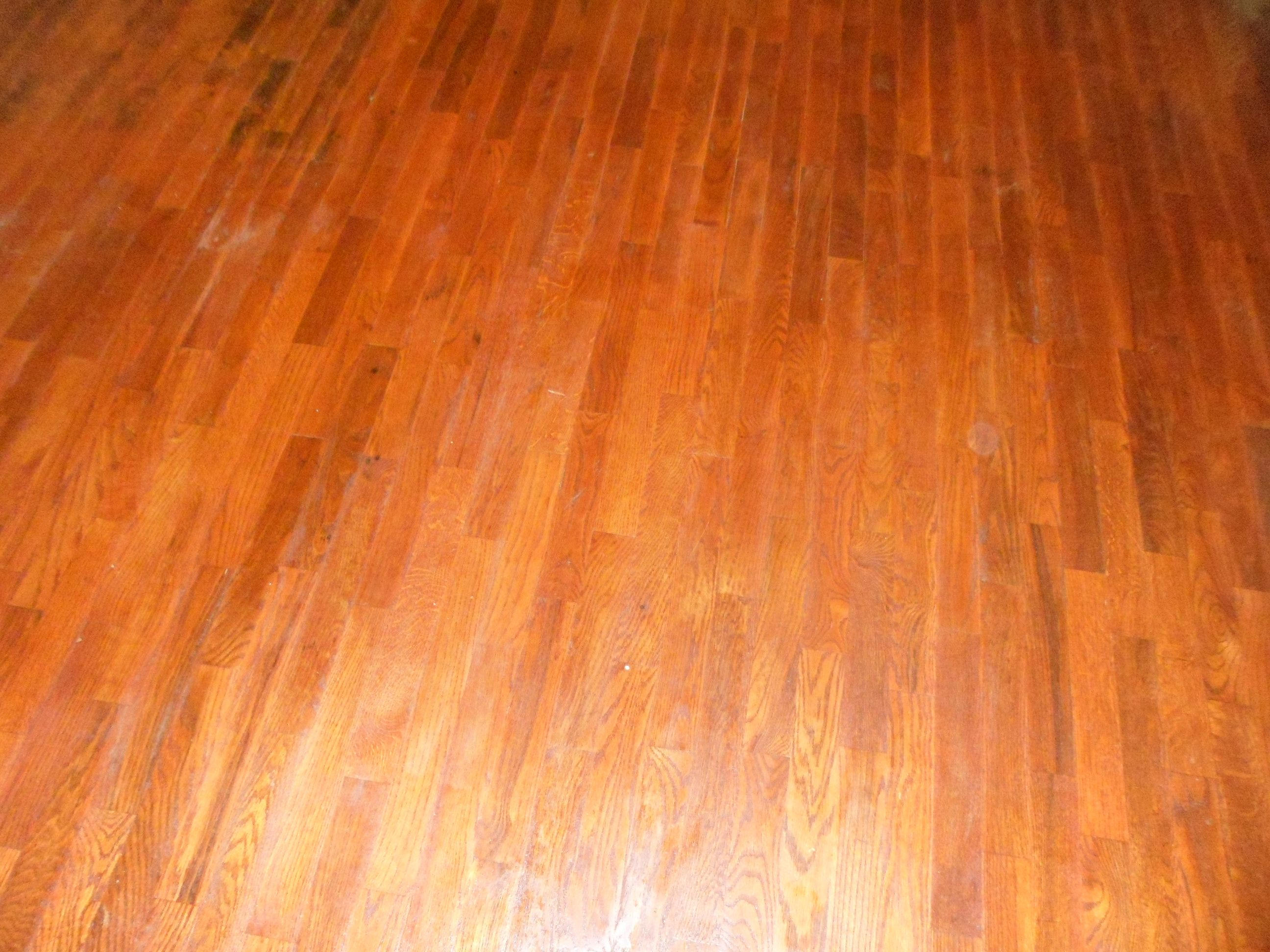 6723 Ridgeview Road Knoxville, TN 37918 - Photo 10 of 40 Floors on Main