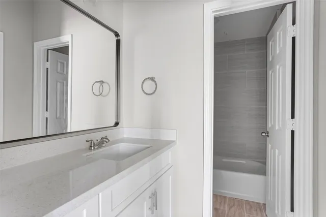 a bathroom with a sink and a large mirror