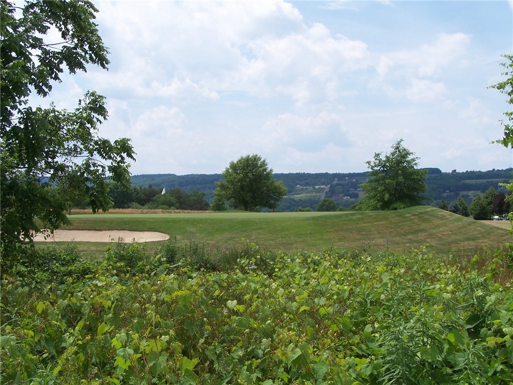 0 Old Bath Road Penn Yan, NY 14527 - Photo 1 of 1