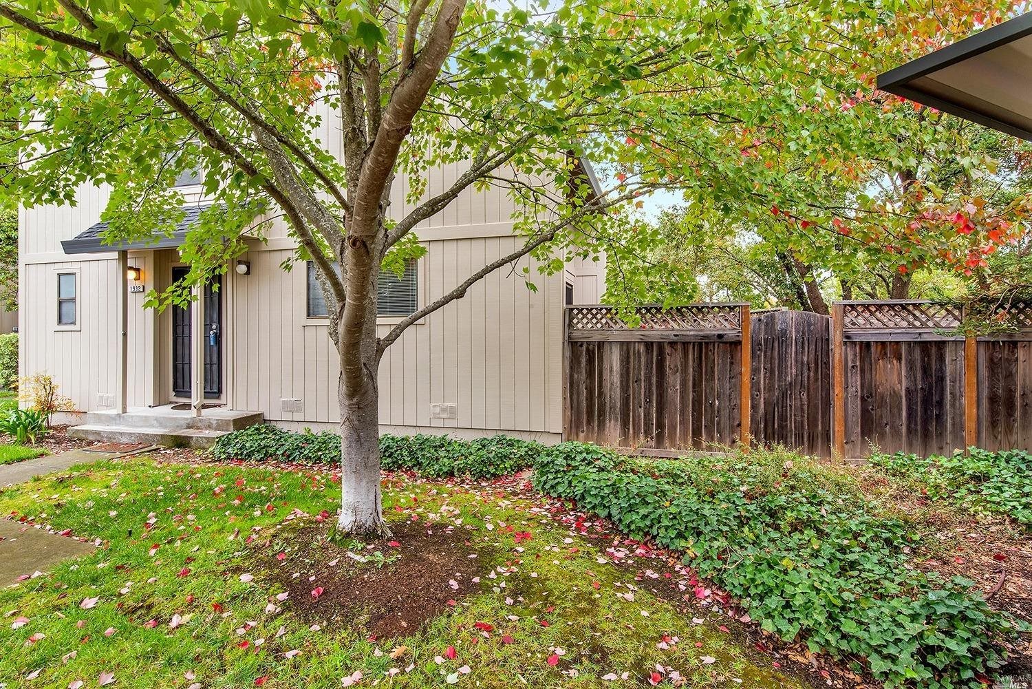 a view of a backyard with large trees and wooden fence