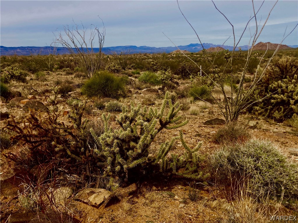 0 South Nash Road Yucca, AZ 86438 - Photo 1 of 2 Gallery Image 1
