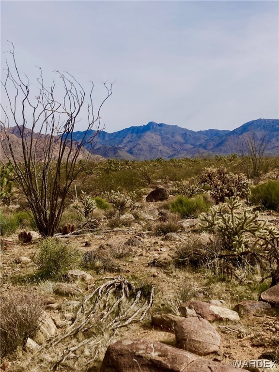 0 South Nash Road Yucca, AZ 86438 - Photo 2 of 2 Gallery Image 2