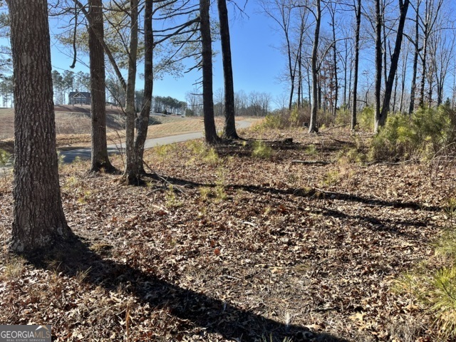 Lot 5 High River Road Ellijay, GA 30540 - Photo 1 of 1 Gallery Image 1