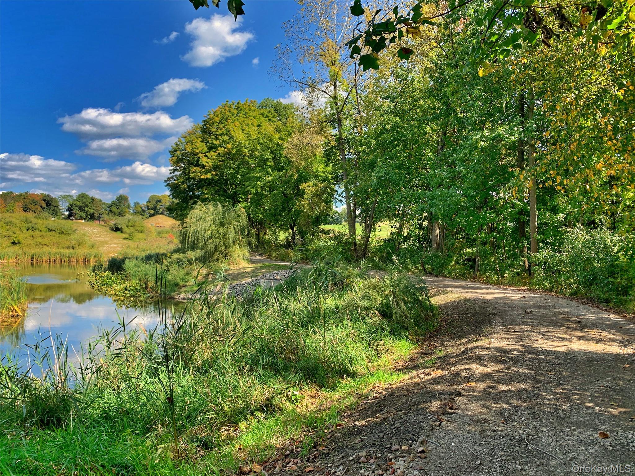 21 Honeysuckle Lane Rye Brook, NY 10573 - Photo 47 of 48 a view of a yard with a tree