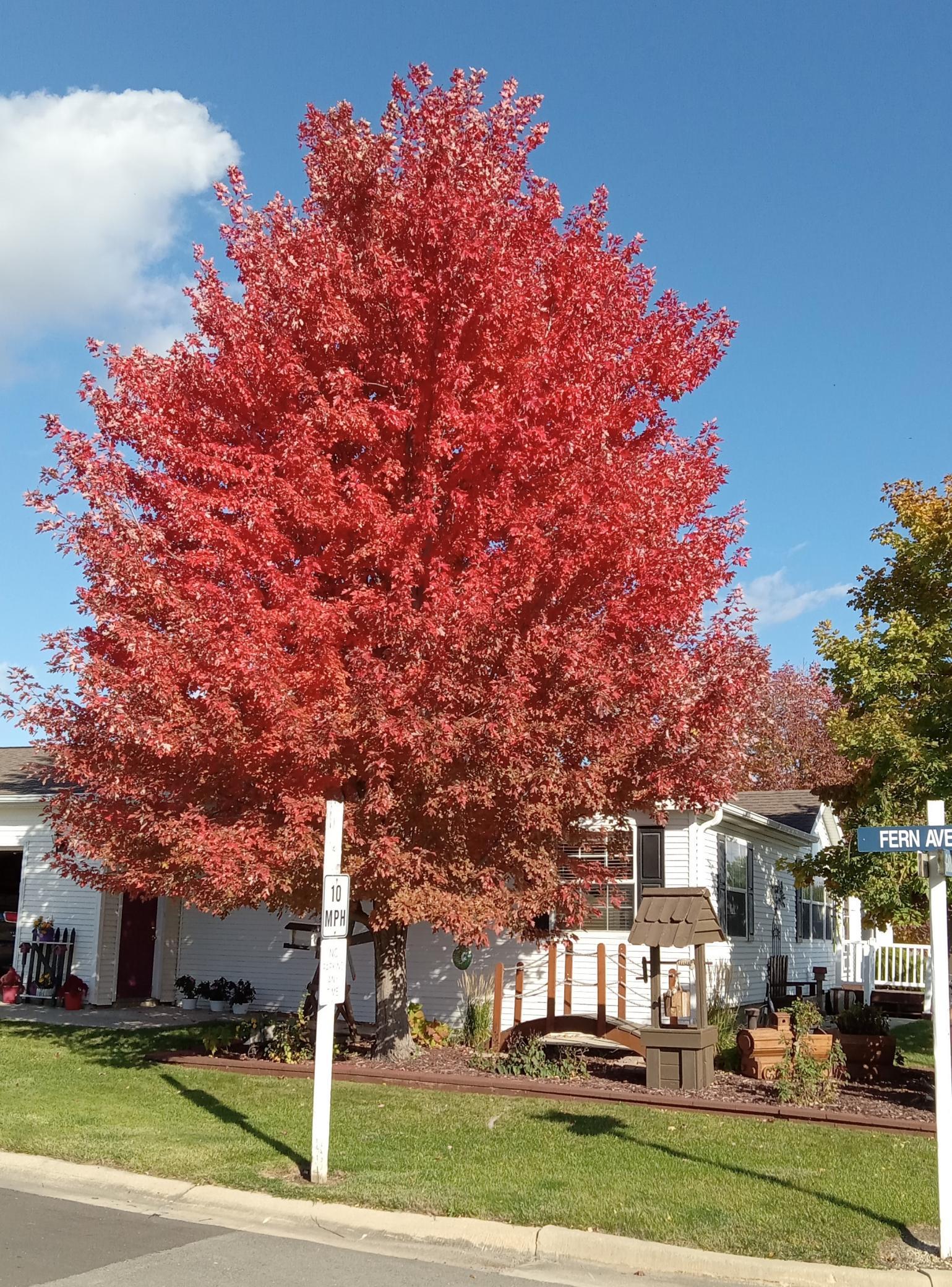 4314 Garden Court Southeast Rochester, MN 55904 - Photo 13 of 14