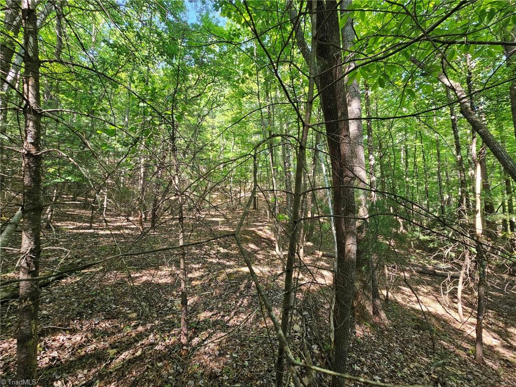 Lot 2 Baldwin Drive Lowgap, NC 27024 - Photo 13 of 38