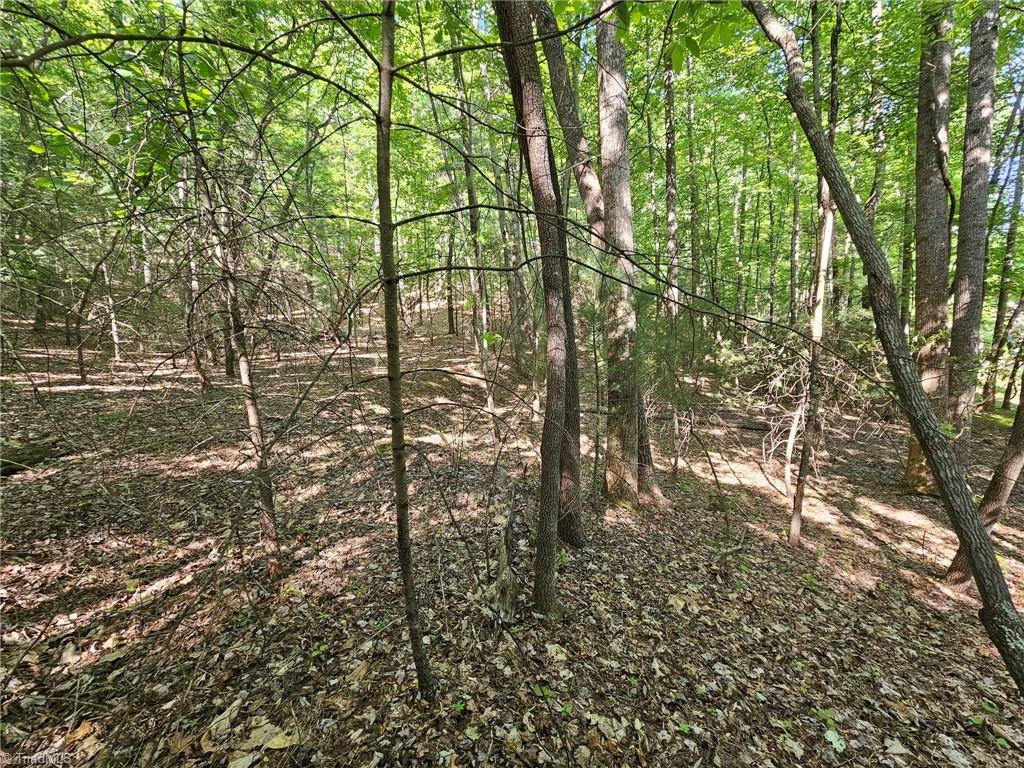 Lot 2 Baldwin Drive Lowgap, NC 27024 - Photo 14 of 38