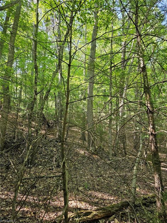 Lot 2 Baldwin Drive Lowgap, NC 27024 - Photo 15 of 38