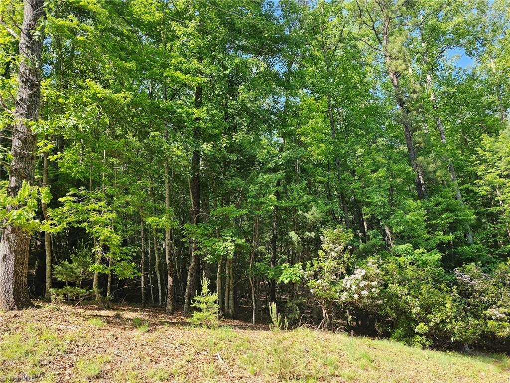 Lot 2 Baldwin Drive Lowgap, NC 27024 - Photo 2 of 38