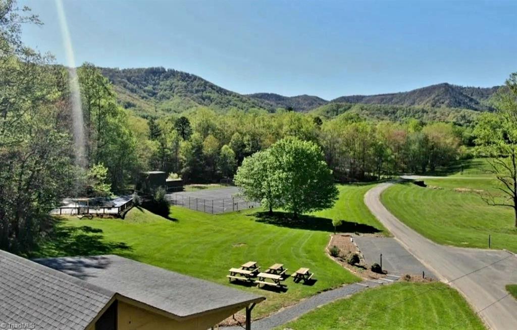 Lot 2 Baldwin Drive Lowgap, NC 27024 - Photo 21 of 38