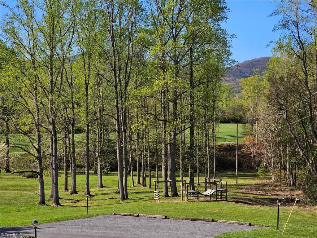 Lot 2 Baldwin Drive Lowgap, NC 27024 - Photo 25 of 38 KIDS PLAY AREA