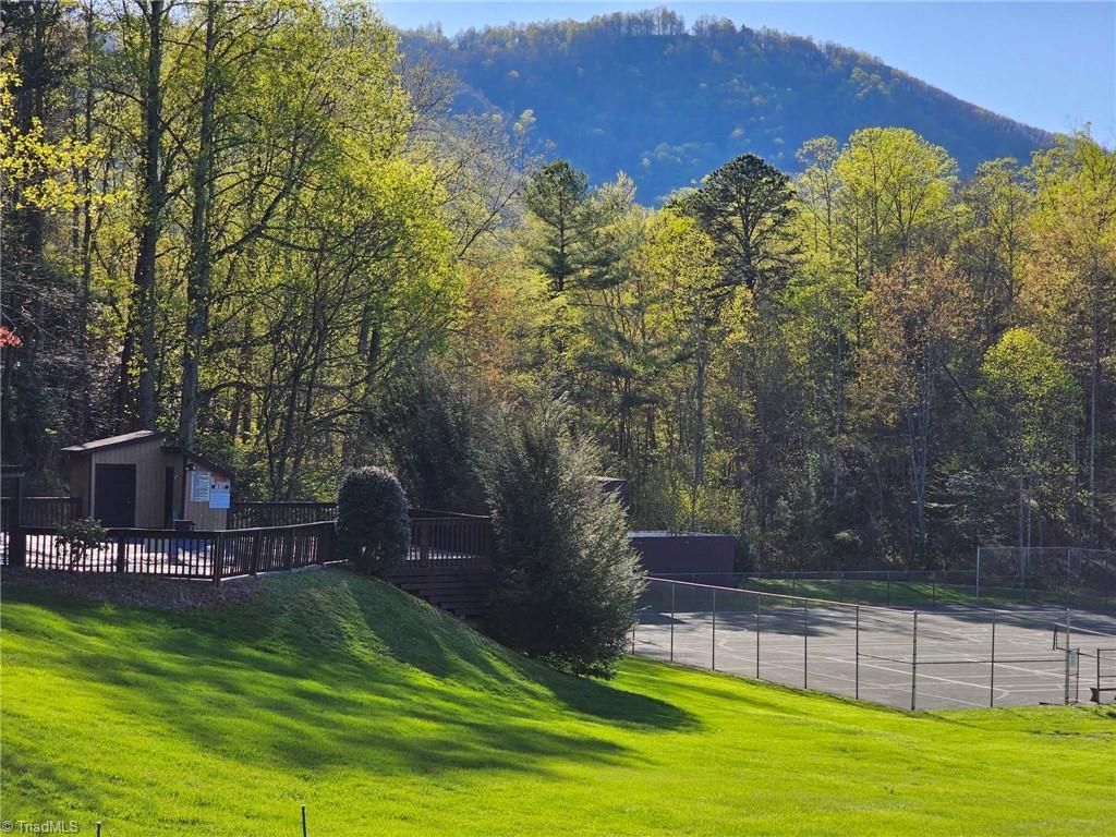 Lot 2 Baldwin Drive Lowgap, NC 27024 - Photo 28 of 38