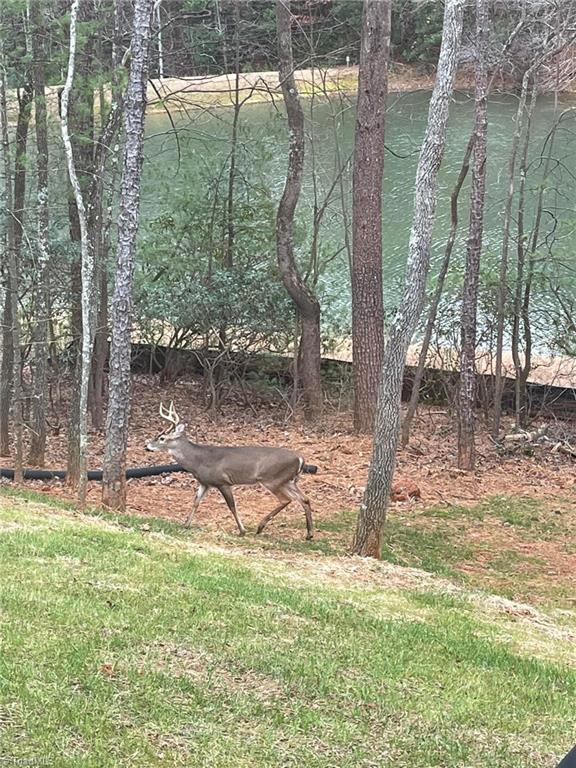 Lot 2 Baldwin Drive Lowgap, NC 27024 - Photo 29 of 38
