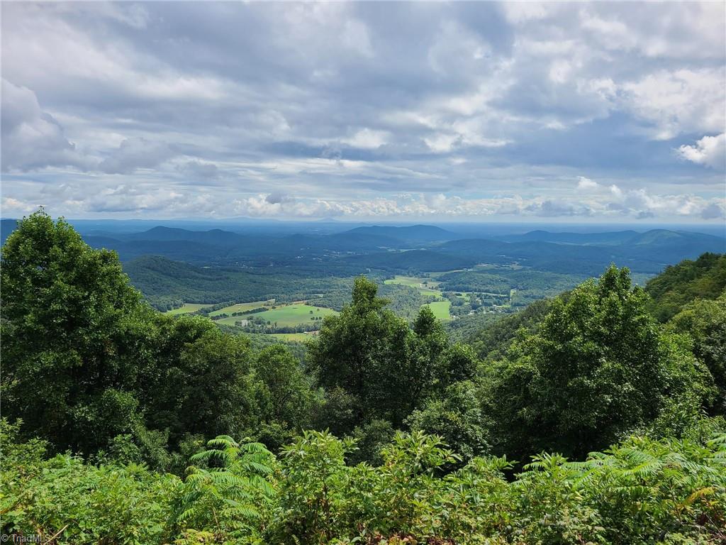 Lot 2 Baldwin Drive Lowgap, NC 27024 - Photo 31 of 38 Minutes to the Blue Ridge Parkway