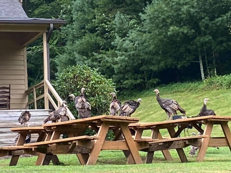 Lot 2 Baldwin Drive Lowgap, NC 27024 - Photo 37 of 38