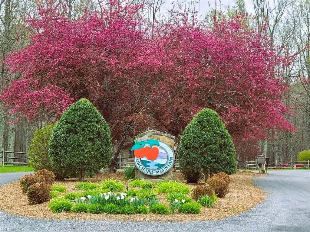 Lot 2 Baldwin Drive Lowgap, NC 27024 - Photo 4 of 38