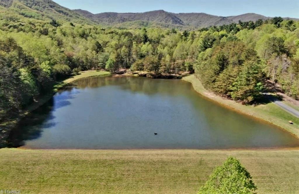 Lot 2 Baldwin Drive Lowgap, NC 27024 - Photo 5 of 38 1 of 4 fishing ponds