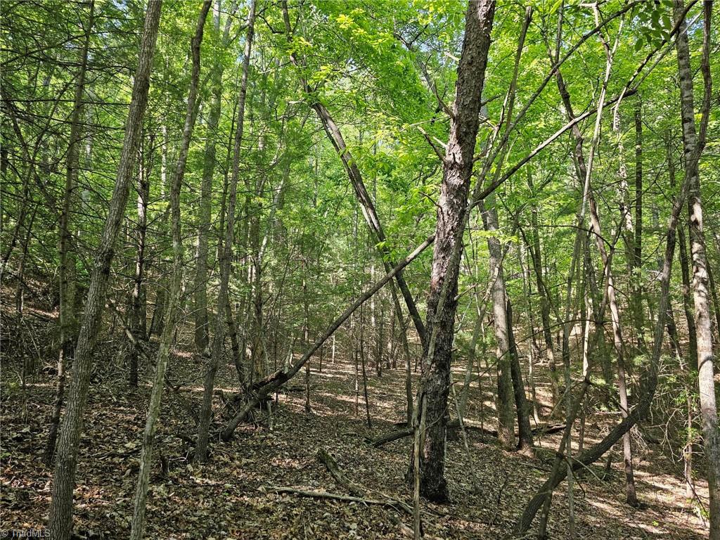 Lot 2 Baldwin Drive Lowgap, NC 27024 - Photo 6 of 38