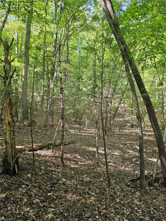 Lot 2 Baldwin Drive Lowgap, NC 27024 - Photo 7 of 38