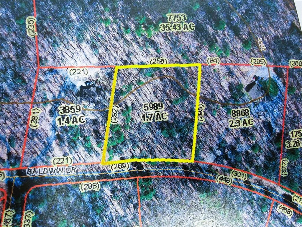 Lot 2 Baldwin Drive Lowgap, NC 27024 - Photo 8 of 38