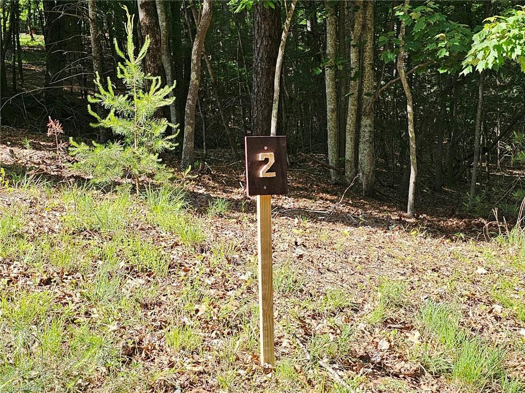 Lot 2 Baldwin Drive Lowgap, NC 27024 - Photo 10 of 38