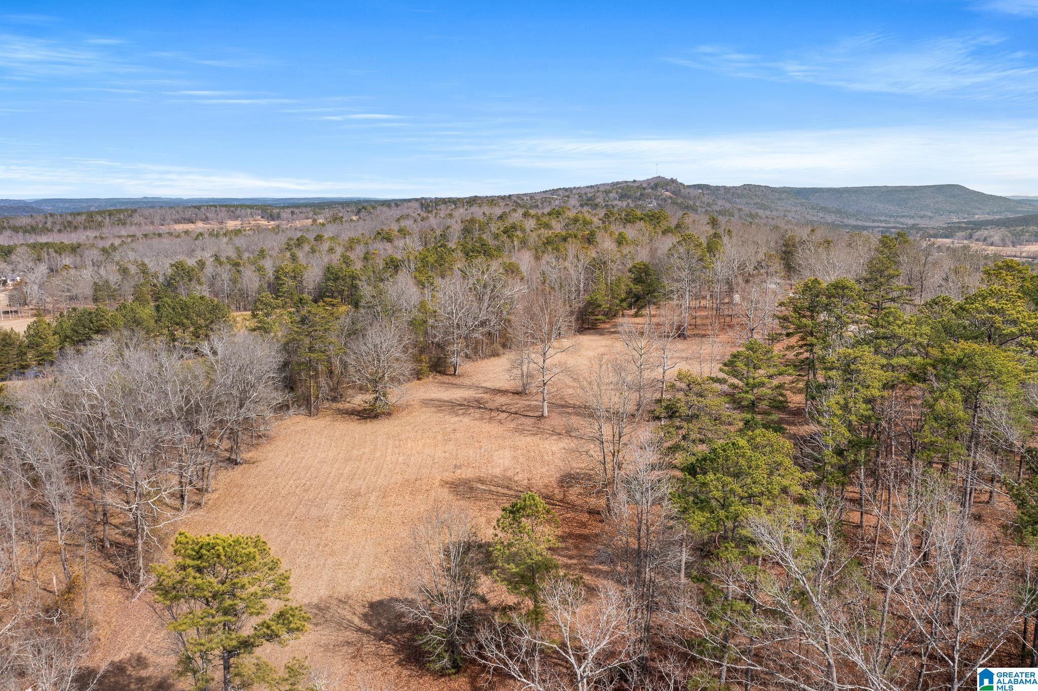 575 Mountain View Lane Springville, AL 35146 - Photo 67 of 84
