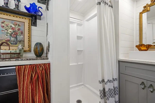 a view of a forest that has a tree