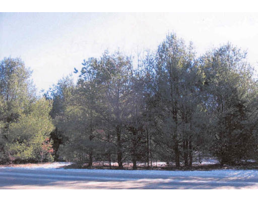 Lot 3 Mary's Pond Road Rochester, MA 02770 - Photo 1 of 1