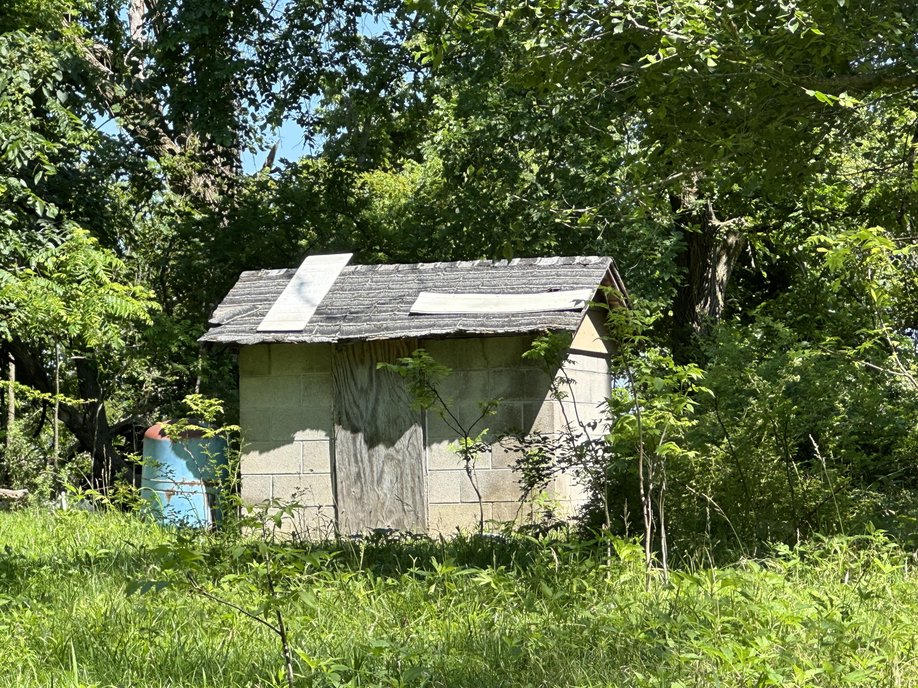 443 Marsha Road Billings, MO 65610 - Photo 10 of 25 IMG_1239-a