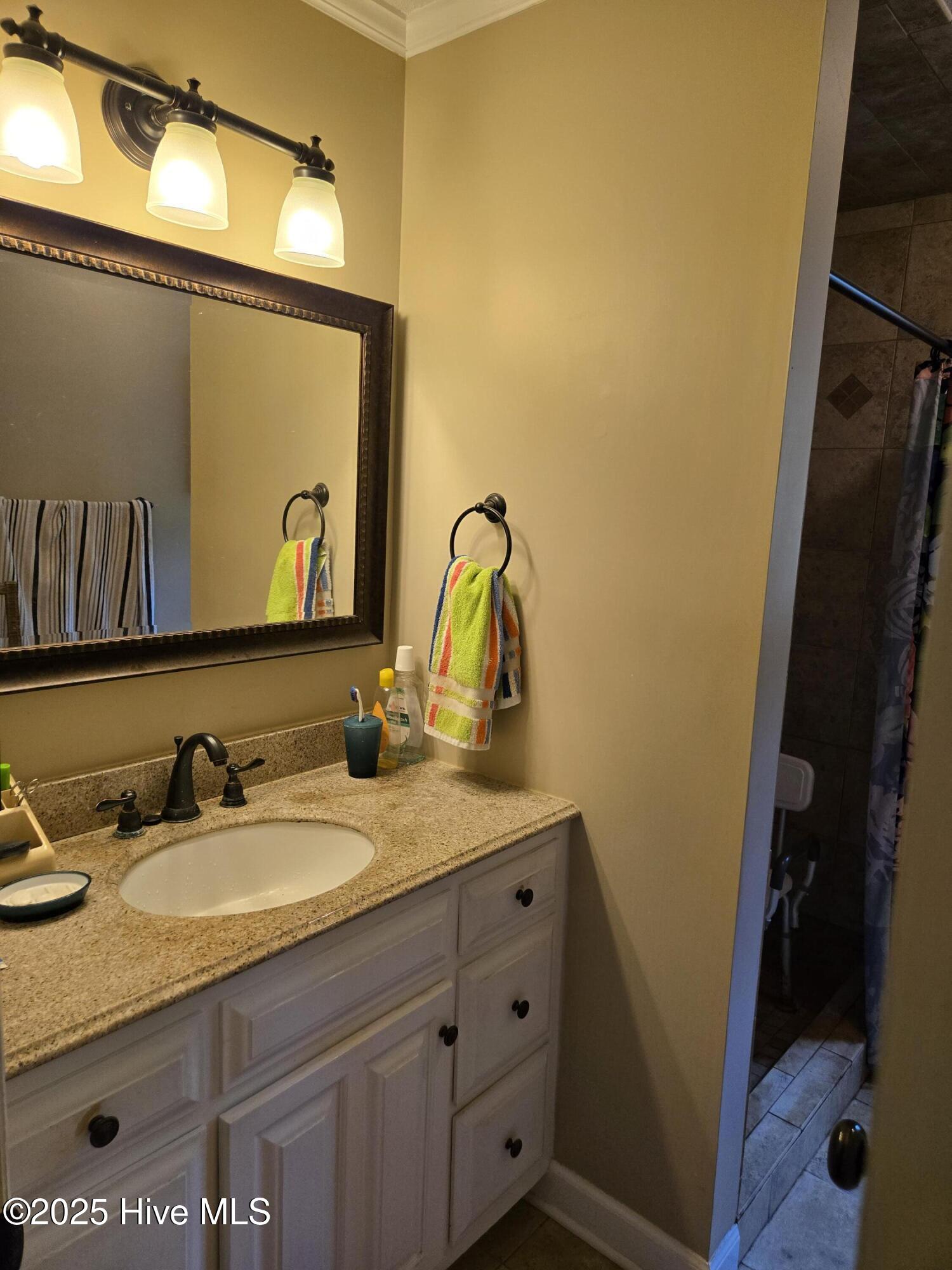 12501 Blues Farm Road Laurinburg, NC 28352 - Photo 16 of 27 main bathroom