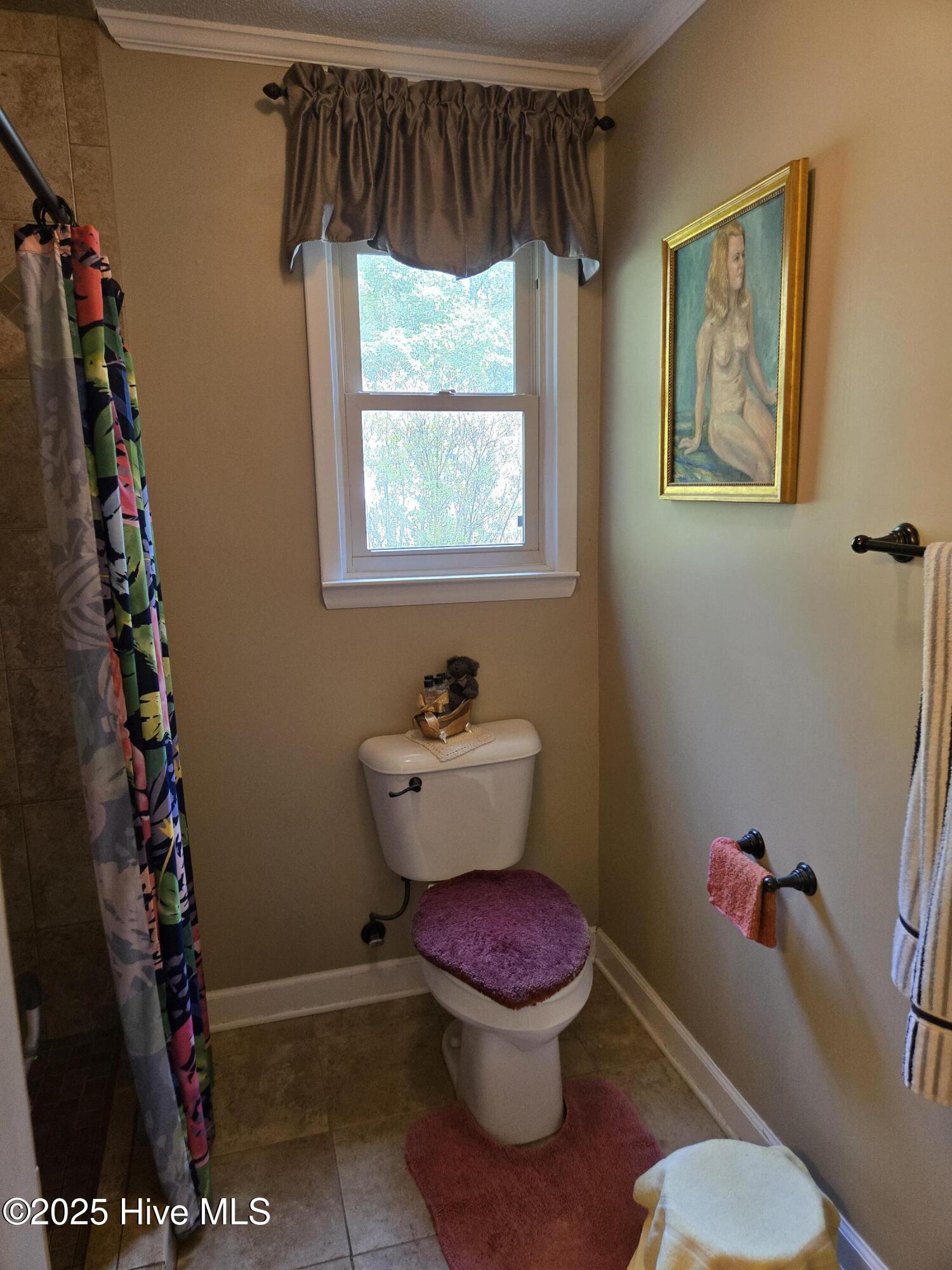 12501 Blues Farm Road Laurinburg, NC 28352 - Photo 21 of 27 additional view of main bathroom