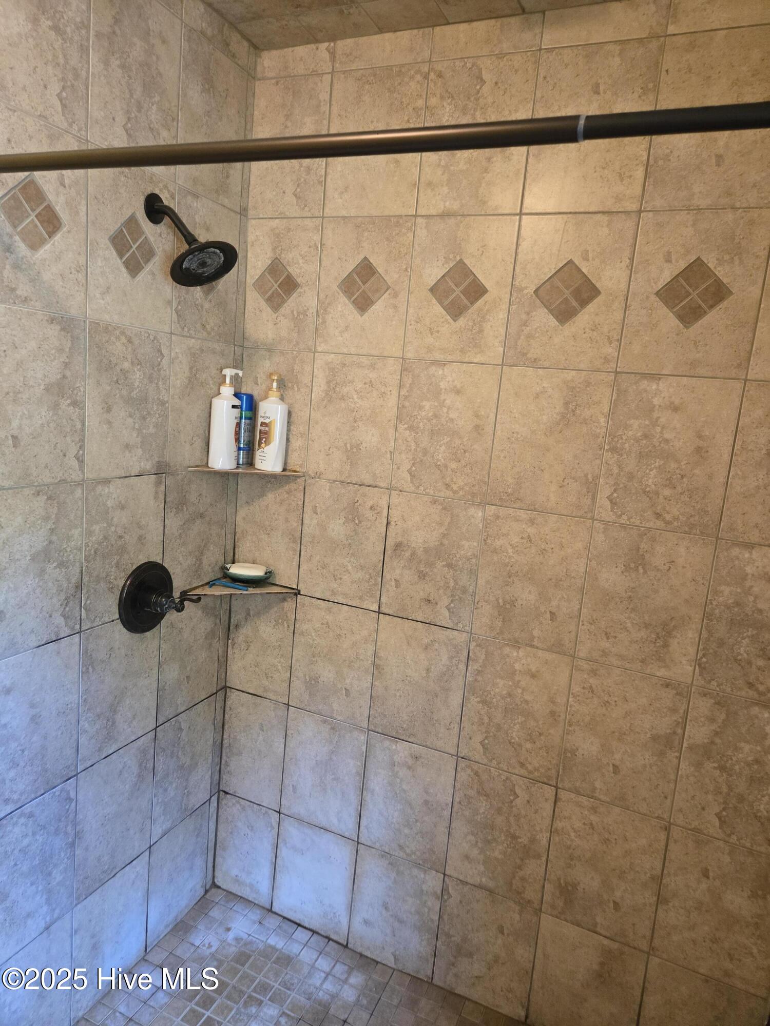 12501 Blues Farm Road Laurinburg, NC 28352 - Photo 22 of 27 main bathroom walk in shower