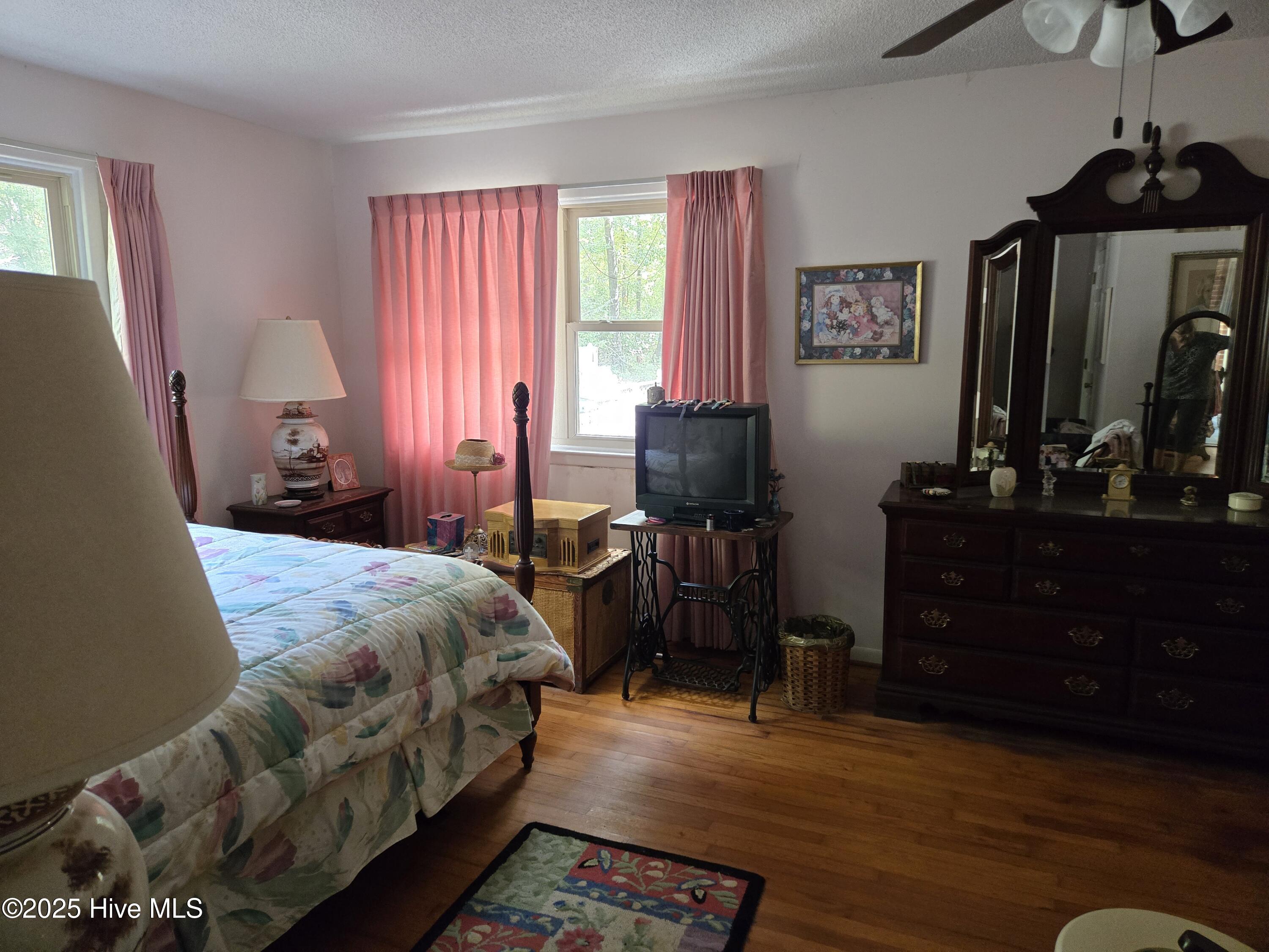12501 Blues Farm Road Laurinburg, NC 28352 - Photo 23 of 27 additional view of main bedroom