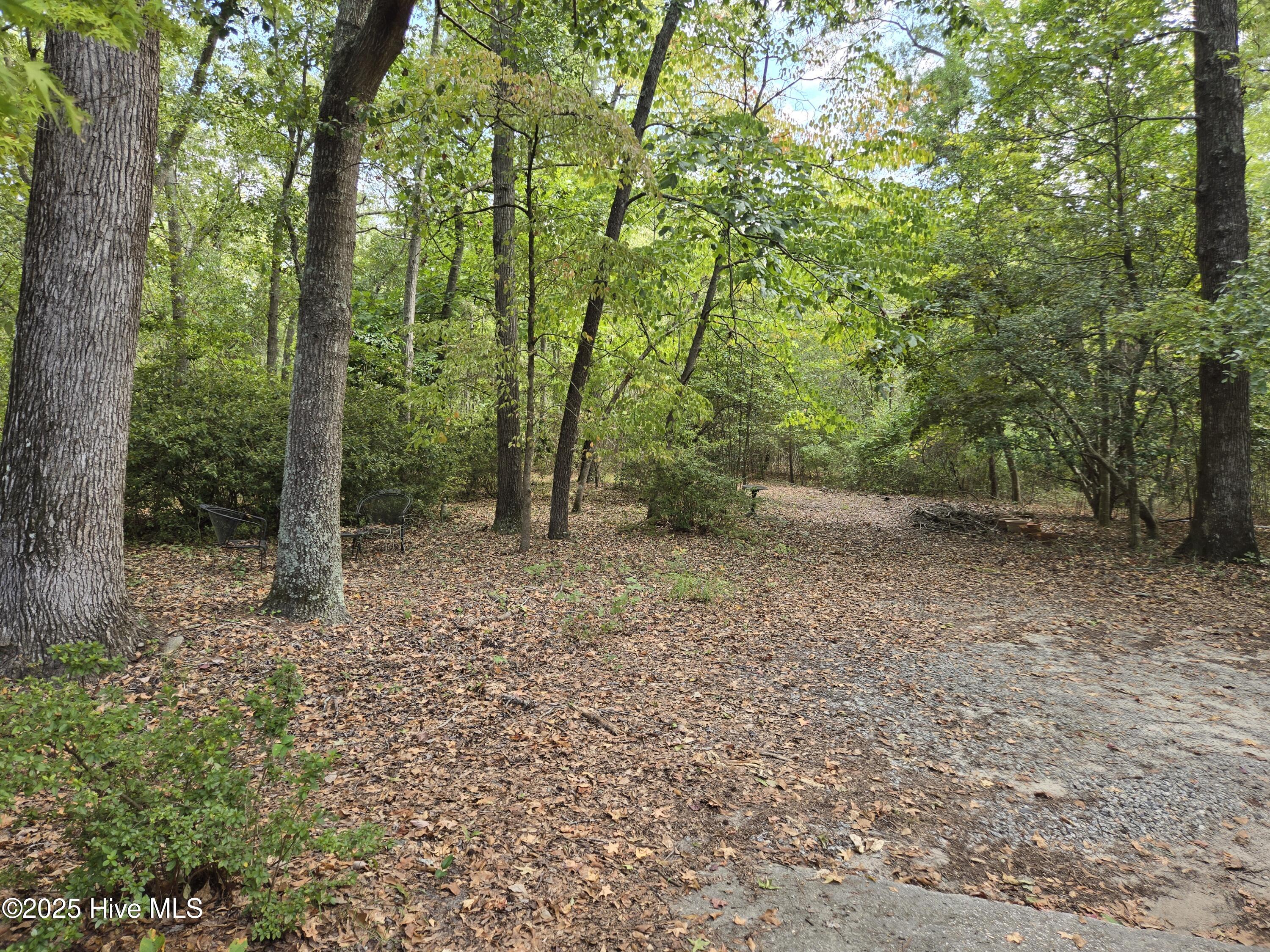 12501 Blues Farm Road Laurinburg, NC 28352 - Photo 26 of 27 view of side yard