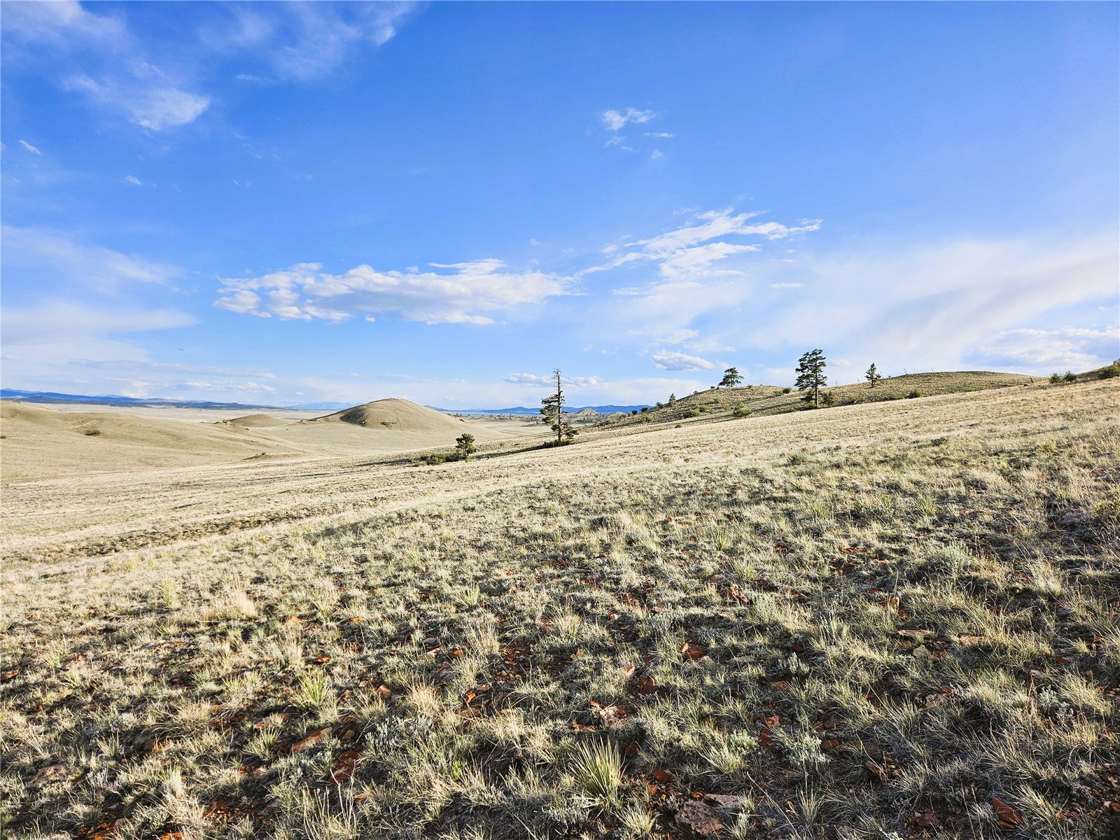 Pcs#24142 Antero Road Hartsel, CO 80449 - Photo 10 of 50