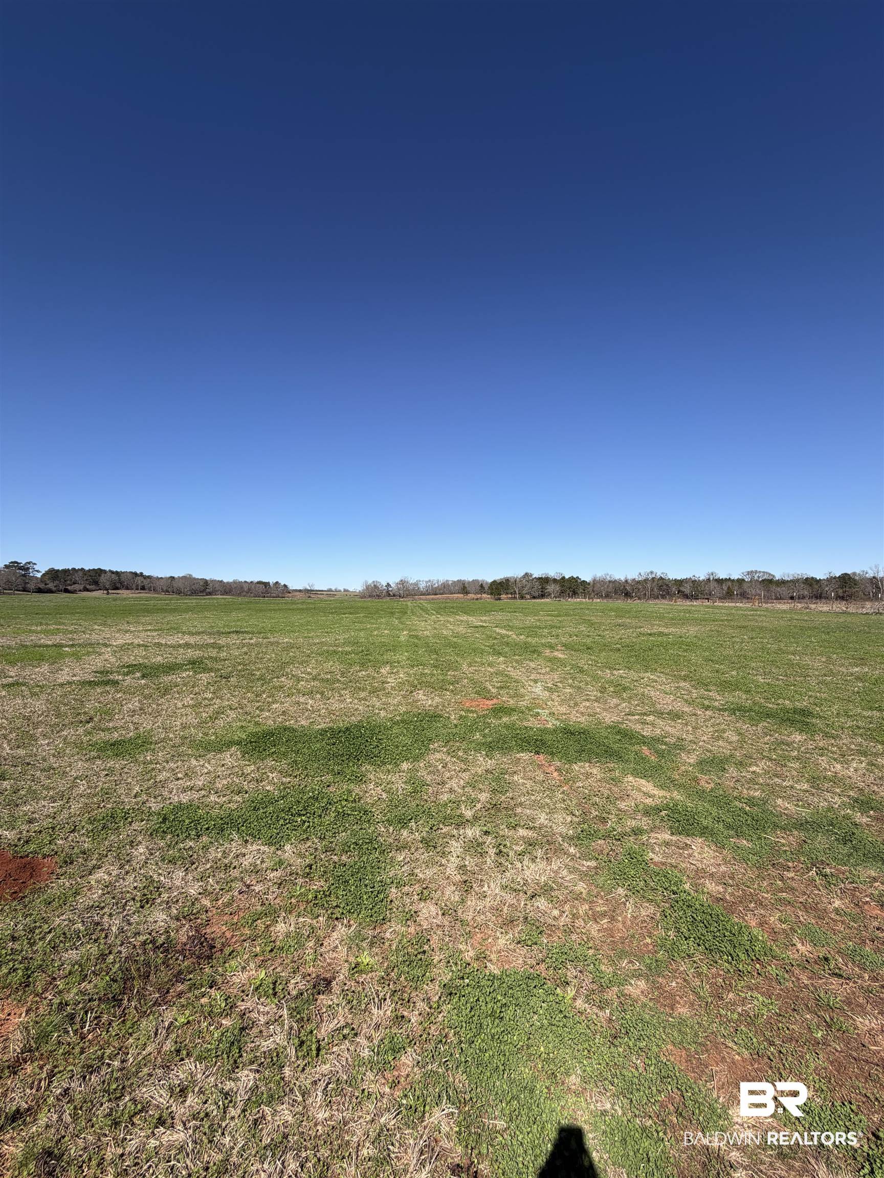 325 Honoraville Road Greenville, AL 36037 - Photo 6 of 10 View of undeveloped land featuring rural landscape