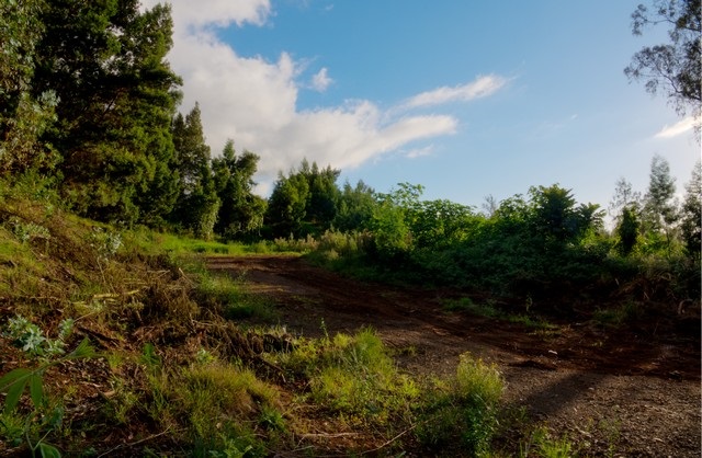 762 Waiakoa Road Kula, HI 96790 - Photo 19 of 21 a view of outdoor space and yard