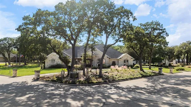 a view of a park with large trees