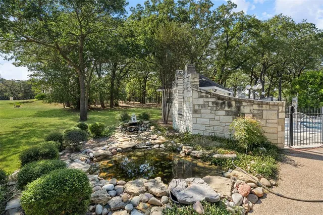 a view of a garden with plants and large trees