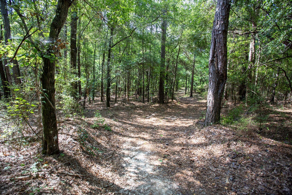 0 Cottonhill Road Eufaula, AL 36027 - Photo 8 of 33 Gallery Image 8