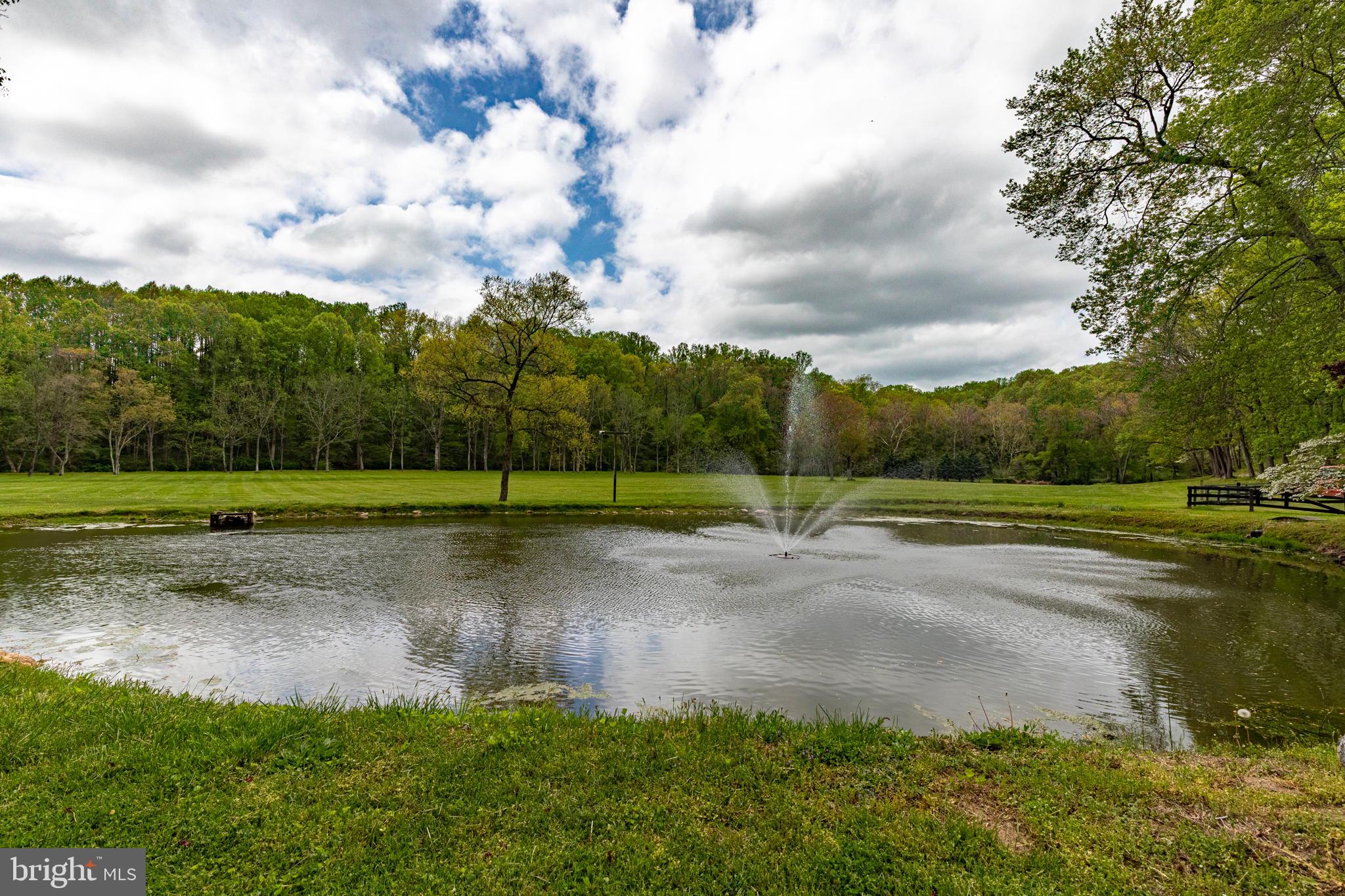 2310 Putnam Road Forest Hill, MD 21050 - Photo 6 of 90 Serene pond with fountain and greenery.
