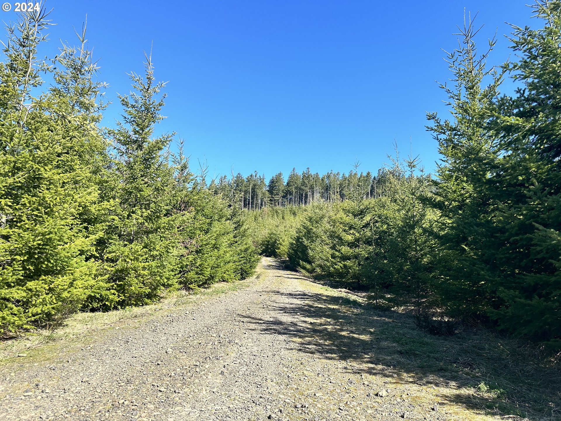 0 Northwest Greener Road North Plains, OR 97133 - Photo 1 of 7 Gallery Image 1