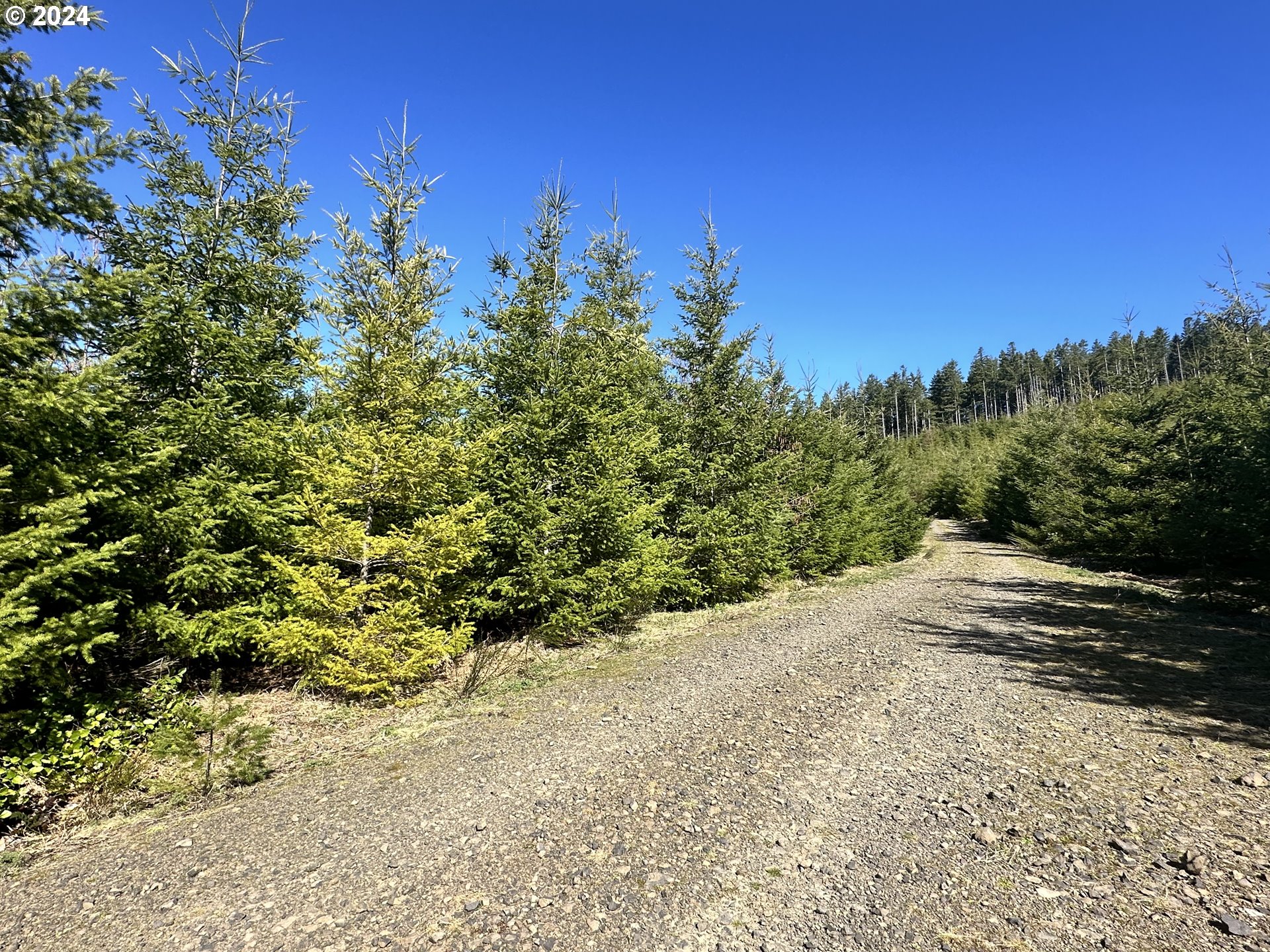 0 Northwest Greener Road North Plains, OR 97133 - Photo 2 of 7 Gallery Image 2