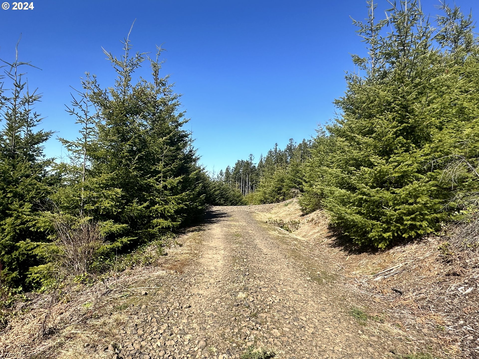 0 Northwest Greener Road North Plains, OR 97133 - Photo 3 of 7 Gallery Image 3