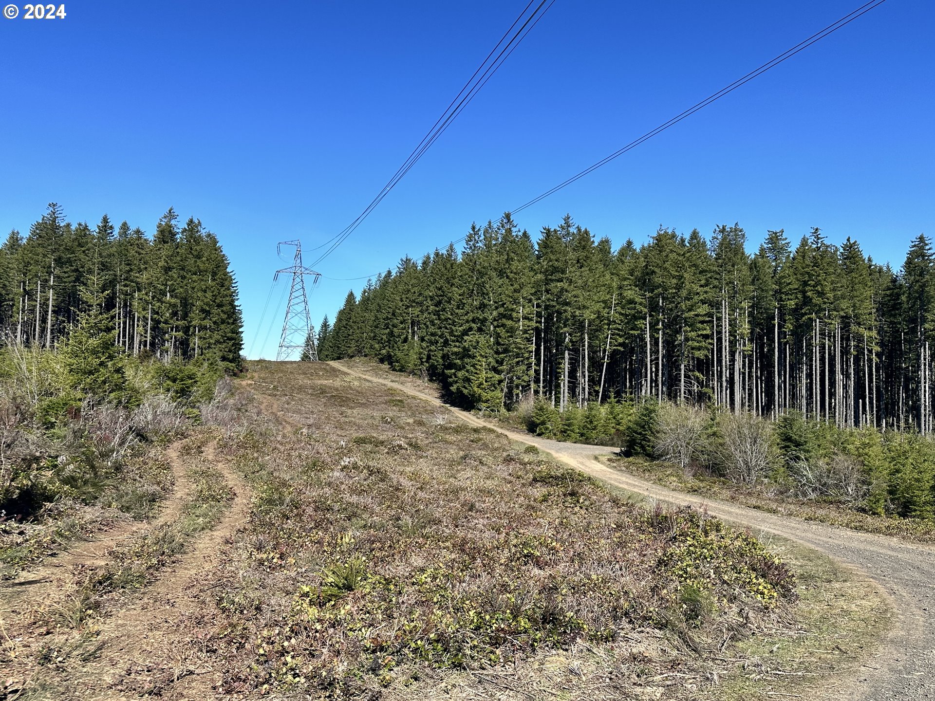 0 Northwest Greener Road North Plains, OR 97133 - Photo 4 of 7 Gallery Image 4