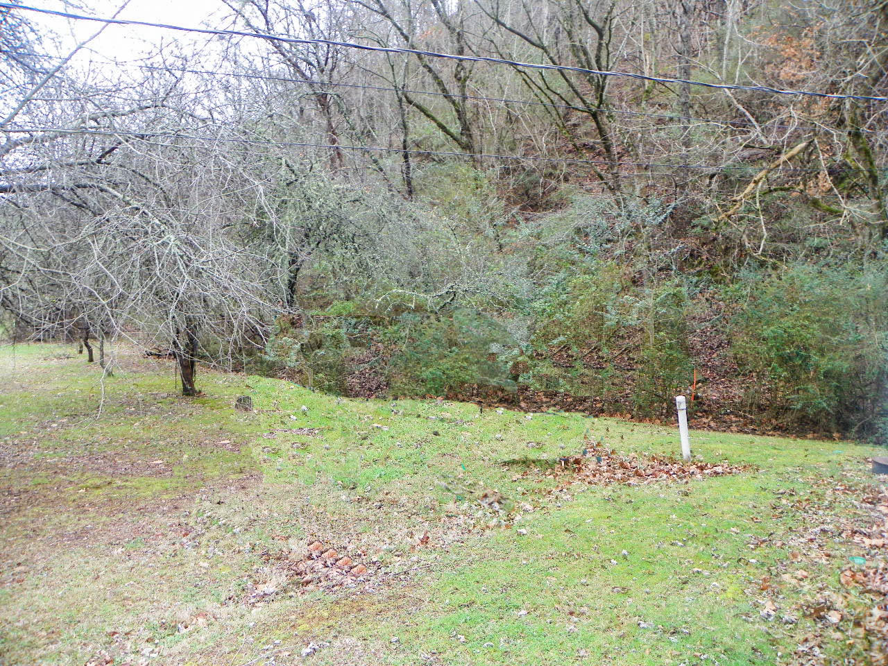 1913 Center Road Pigeon Forge, TN 37863 - Photo 20 of 27 102_7941-Edit