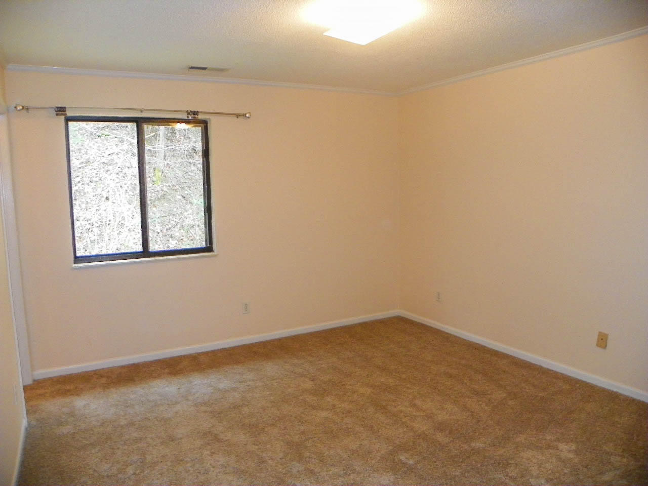 1913 Center Road Pigeon Forge, TN 37863 - Photo 9 of 27 102_7913
